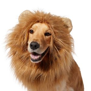 dog lion head costume